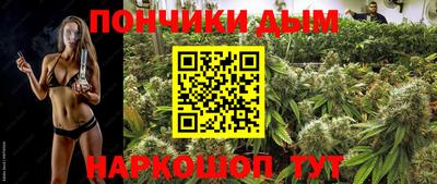 ГАЛЛЮЦИНОГЕННЫЕ ГРИБЫ Берёзовский