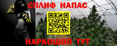спайс Беслан